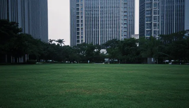 商务代理选择:自建团队与外包服务的取舍分析